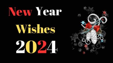 Happy New Year 2024 Wishes Text in Hindi