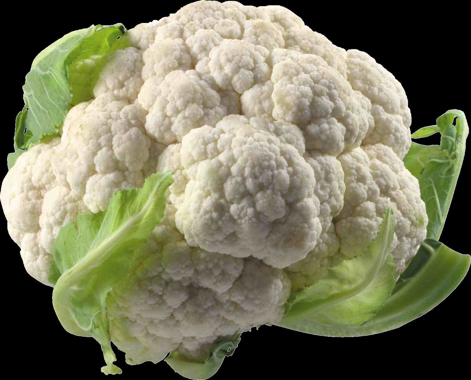 Cauliflower (कॉलीफ्लॉवर) फूलगोभी