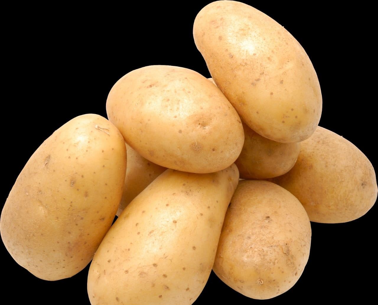 आलू Potato (पोटैटो )