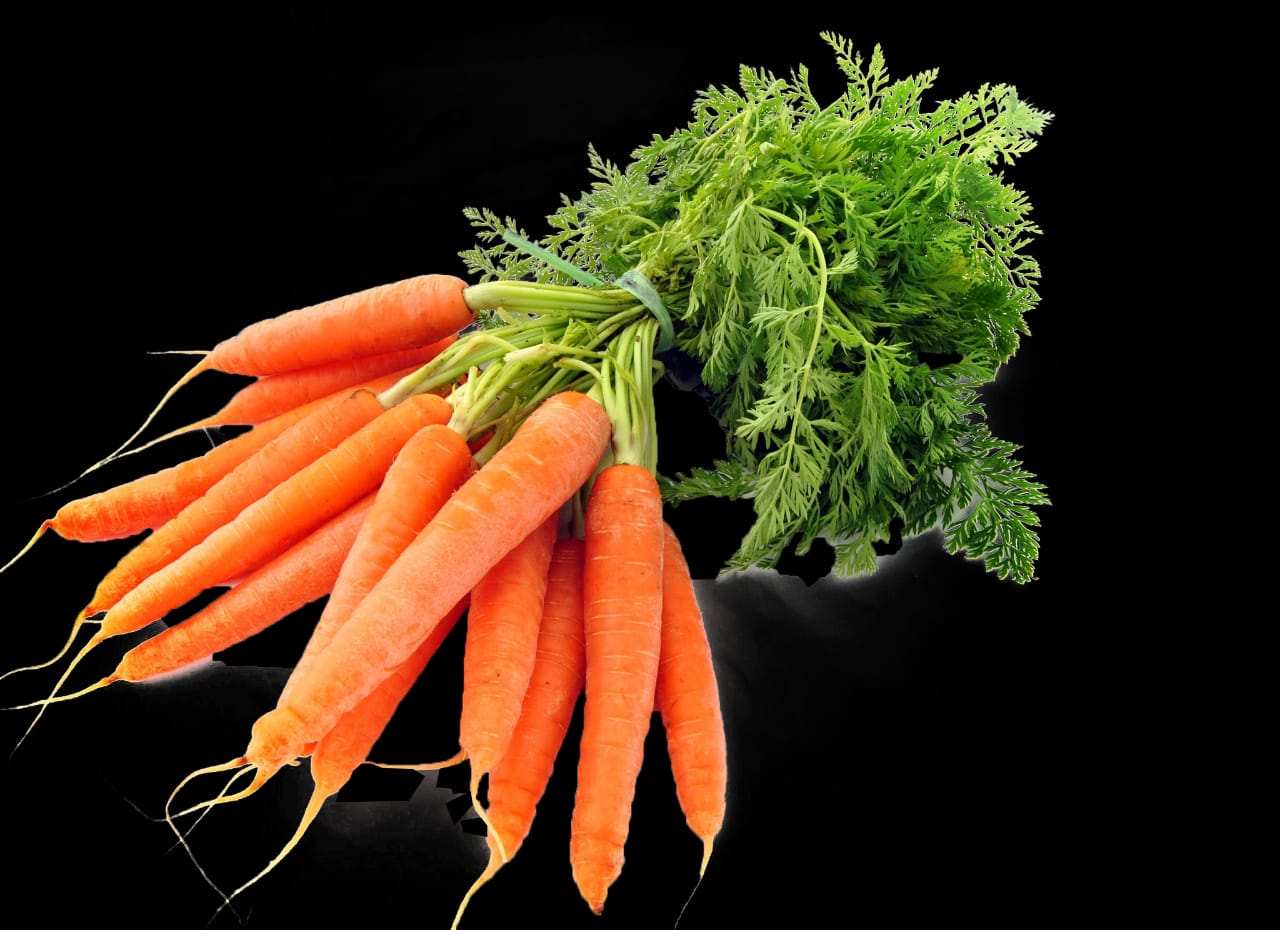 गाजर, Carrot (कैरोट)