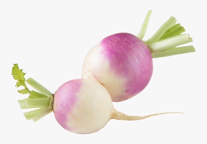 शलजम, Turnip (टर्निप)
