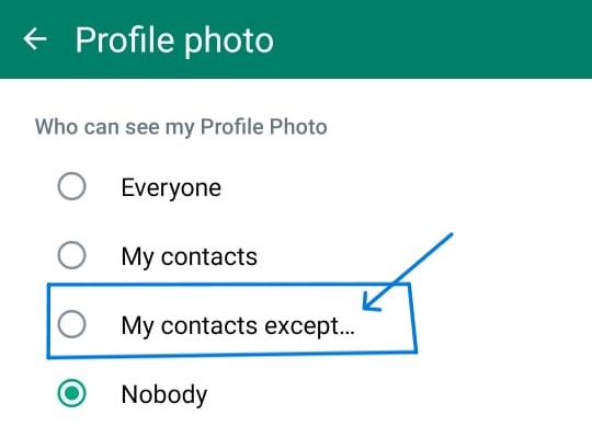 WhatsApp Dp Privacy